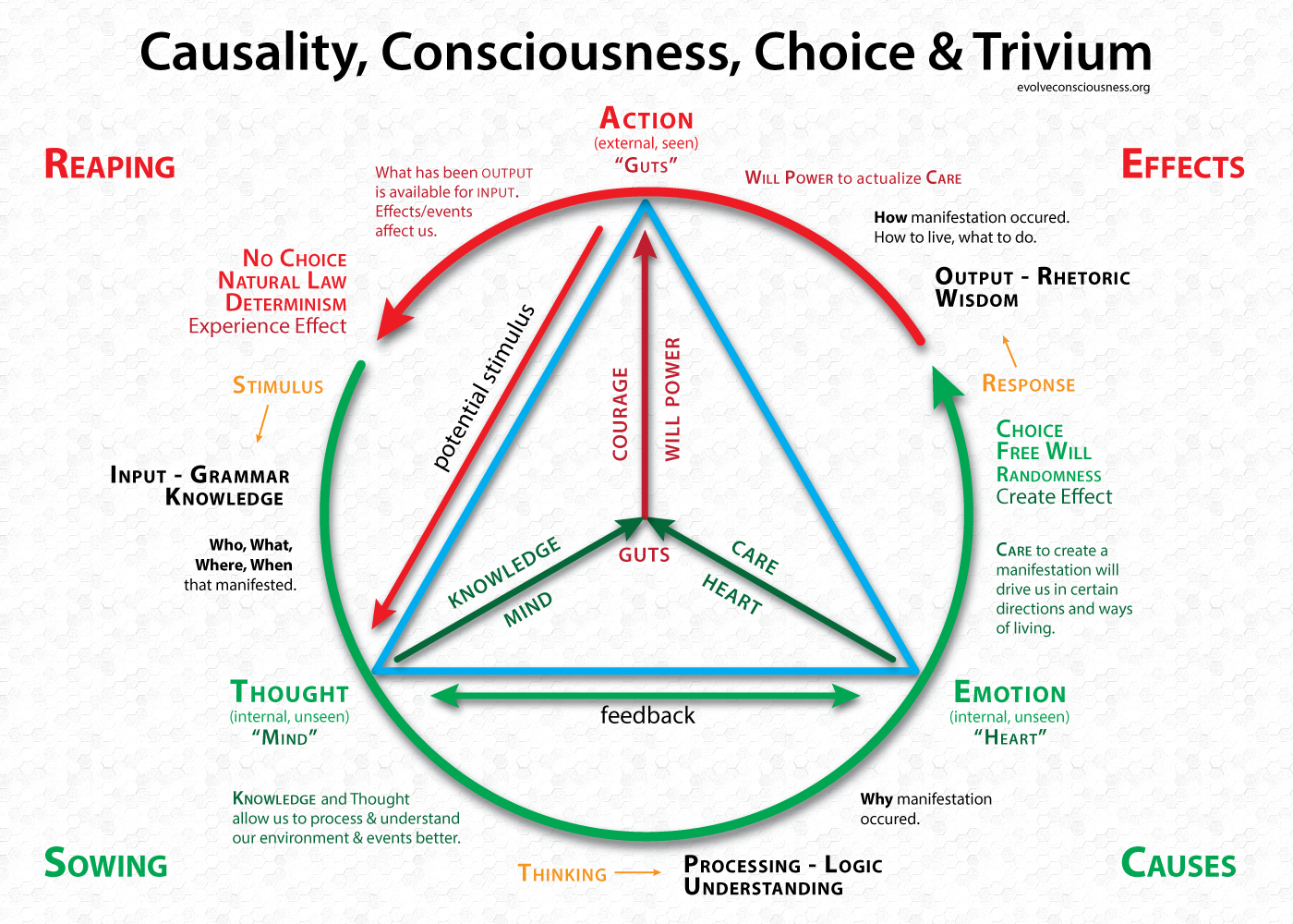 evolveconsciousness